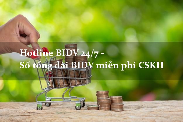 Hotline BIDV 24/7 - Số tổng đài BIDV miễn phí CSKH Hotline BIDV 24/7 - Số tổng đài BIDV miễn phí CSKH